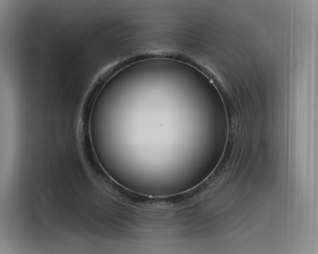 X0000116150587200911231333