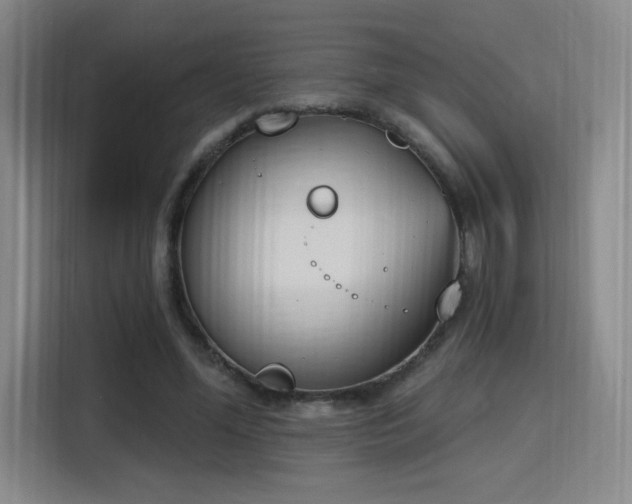 X0000116150588200911231333