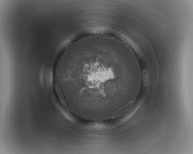 X0000116150589200911231333