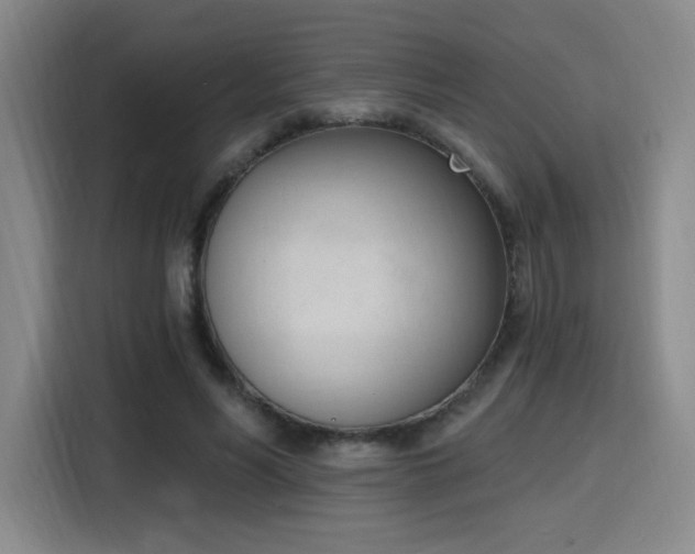 X0000116150590200911231333