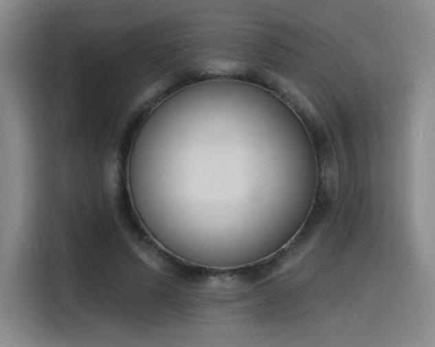 X0000116150591200911231333