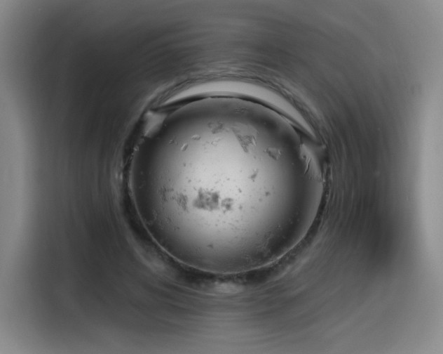 X0000116150592200911231333