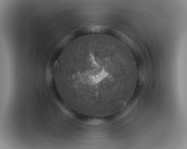 X0000116150593200911231333