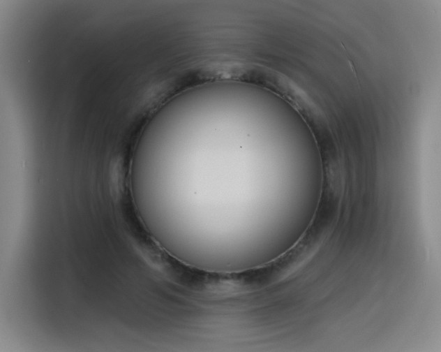 X0000116150594200911231333