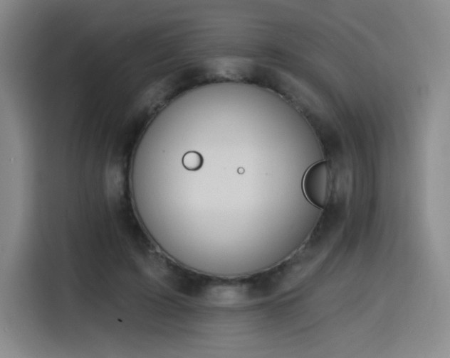 X0000116150595200911231333