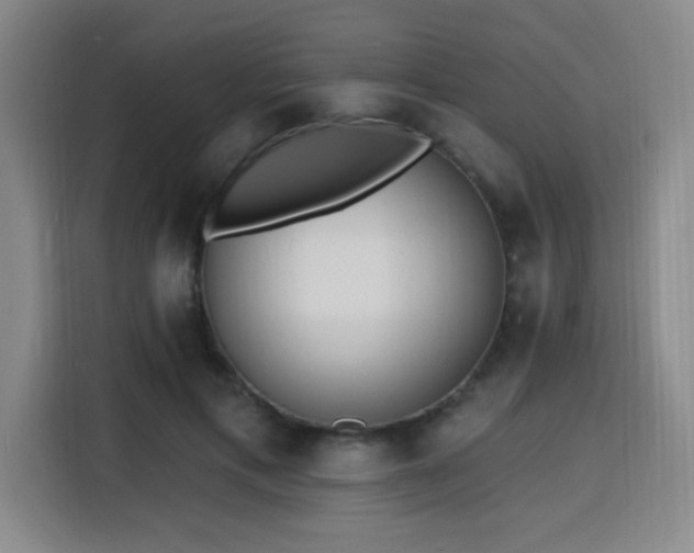 X0000116150597200911231333