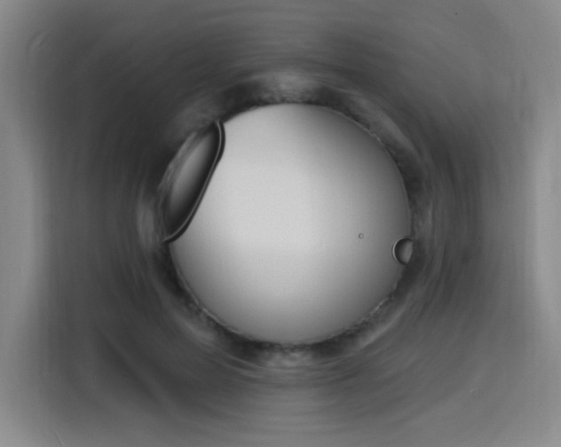 X0000116150599200911231333