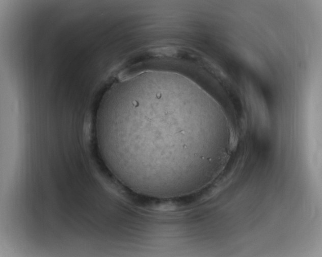 X0000116150600200911231333