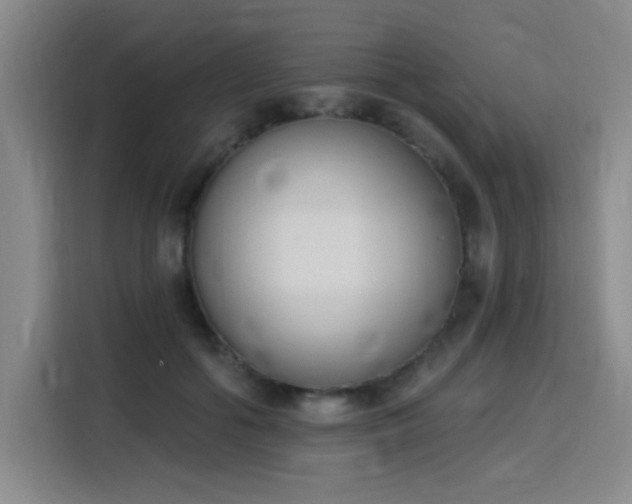 X0000116150602200911231333