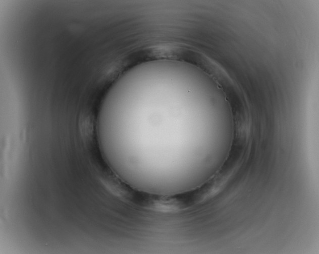 X0000116150603200911231333