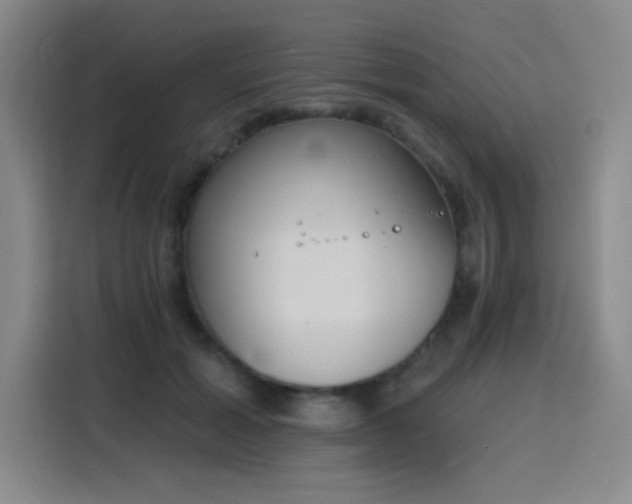 X0000116150605200911231333