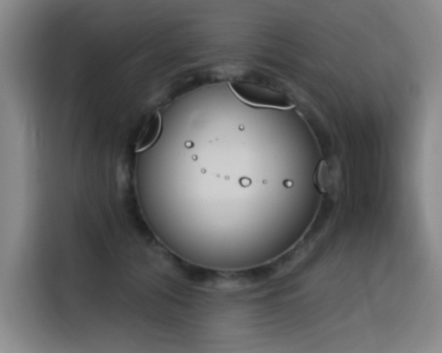 X0000116150608200911231333