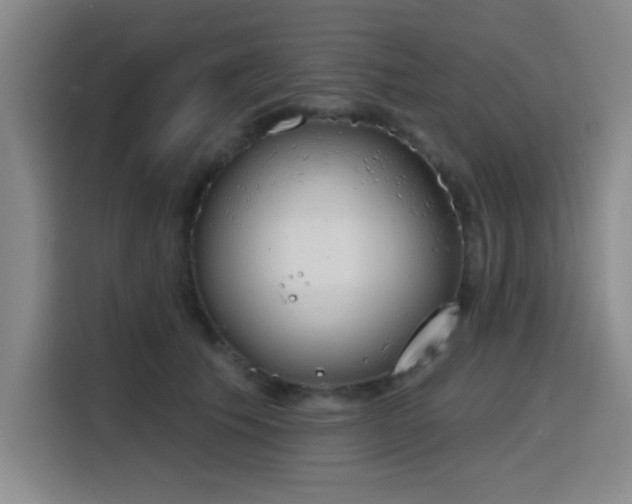 X0000116150609200911231333