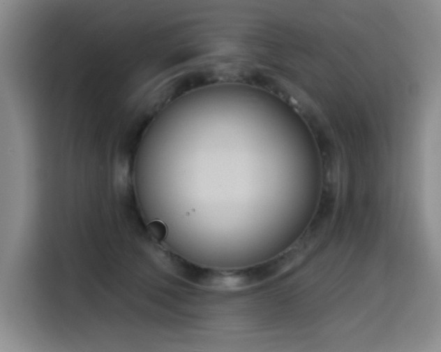 X0000116150610200911231333