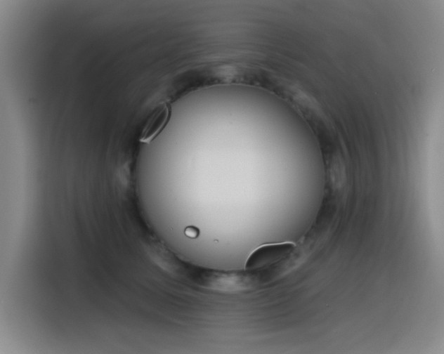 X0000116150611200911231333