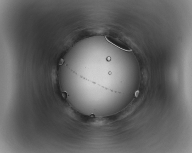 X0000116150612200911231333