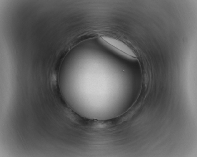 X0000116150613200911231333