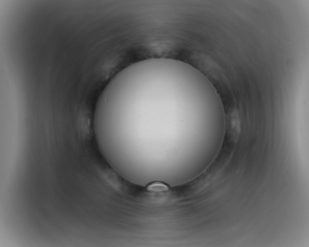 X0000116150615200911231333