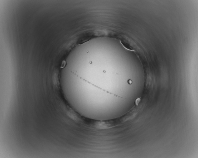 X0000116150616200911231333