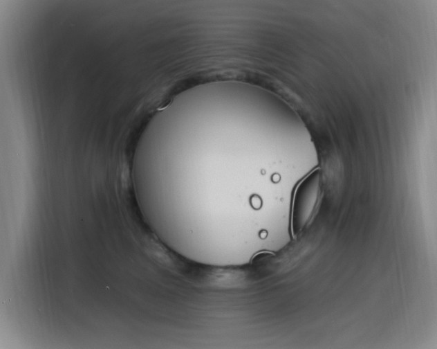 X0000116150617200911231333