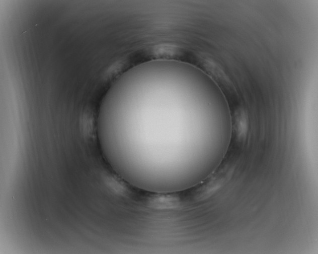 X0000116150619200911231332