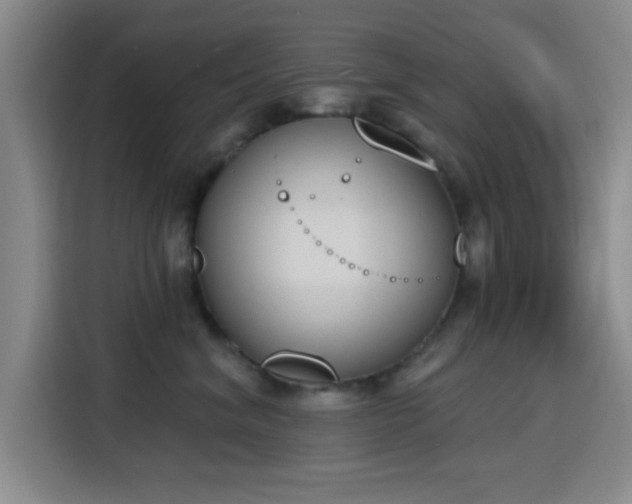 X0000116150620200911231332