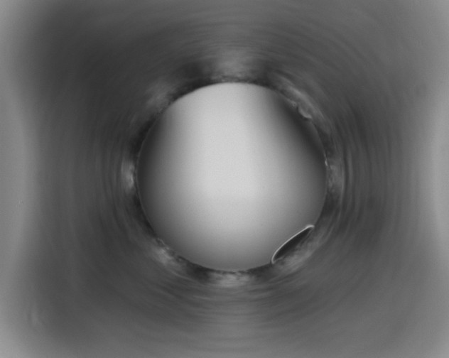 X0000116150621200911231332