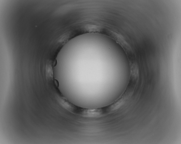 X0000116150622200911231332