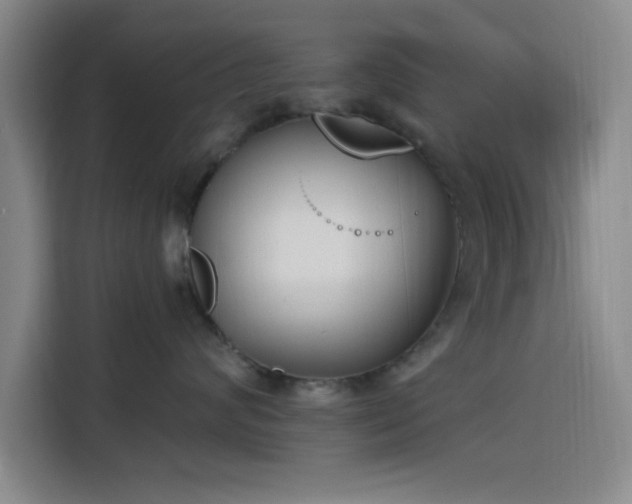 X0000116150624200911231332