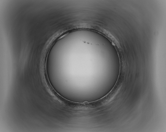 X0000116150625200911231332