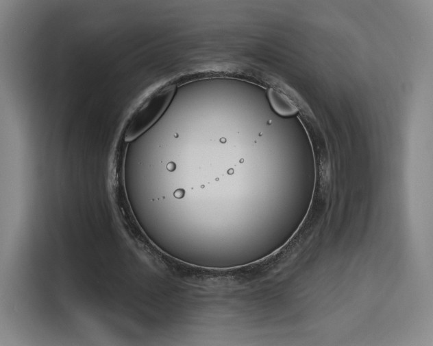 X0000116150628200911231332