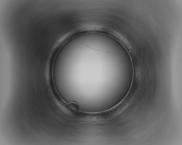 X0000116150629200911231332