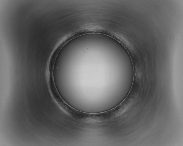 X0000116150630200911231332