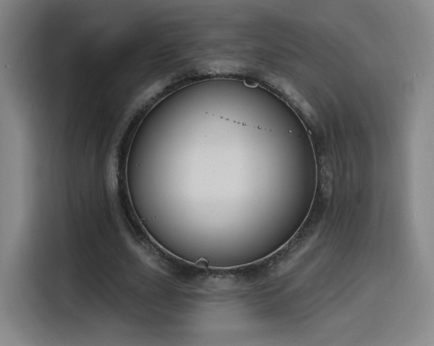 X0000116150631200911231332