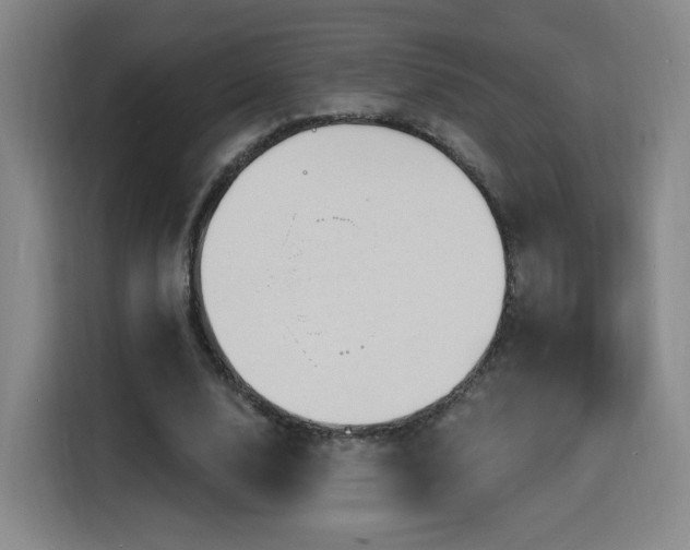 X0000116150632200911231332