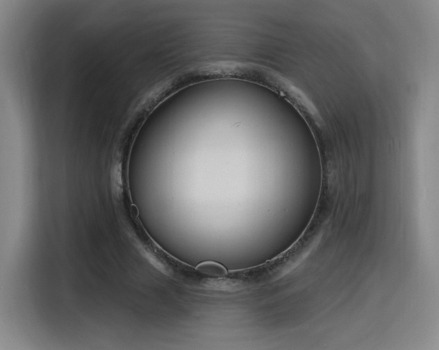 X0000116150633200911231332