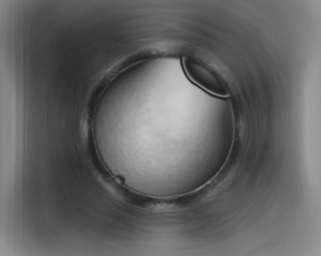 X0000116150637200911231332