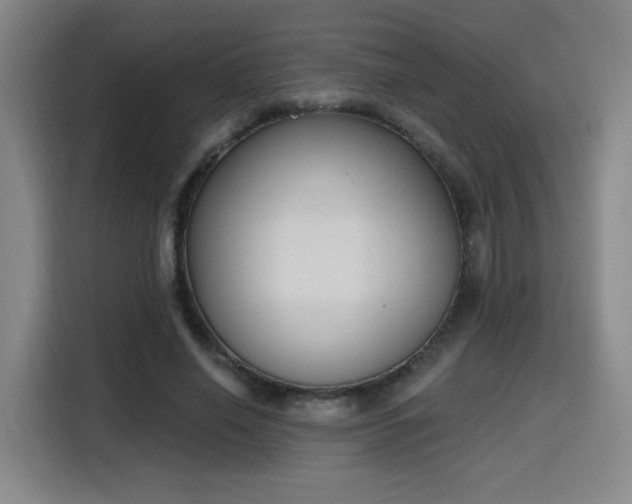 X0000116150638200911231332