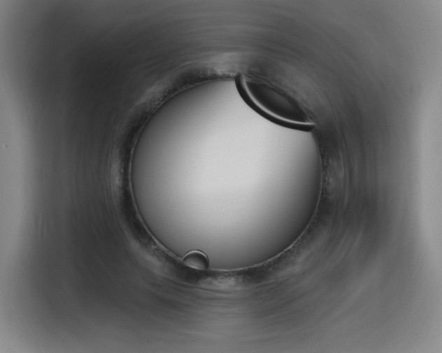 X0000116150639200911231332