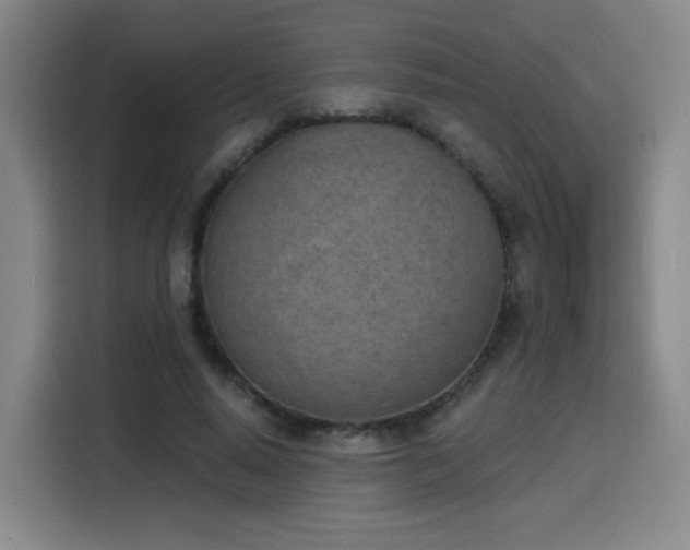 X0000116150640200911231332