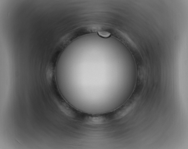 X0000116150645200911231332