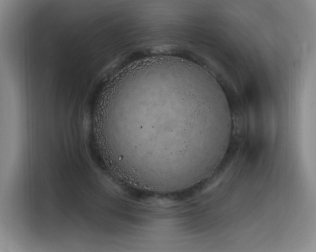 X0000116150648200911231332