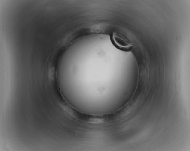 X0000116150649200911231332