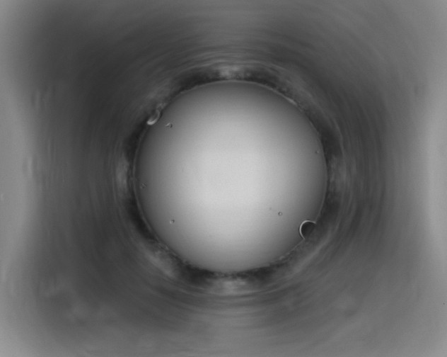 X0000116150650200911231332