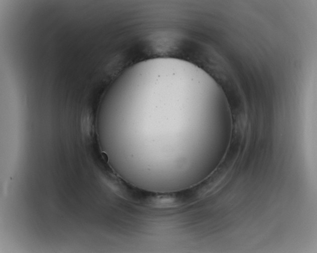 X0000116150651200911231332