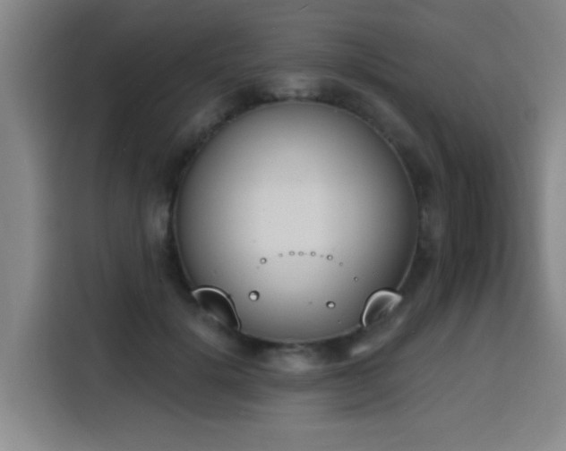 X0000116150652200911231332