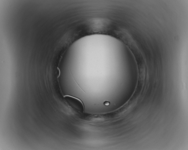 X0000116150653200911231332