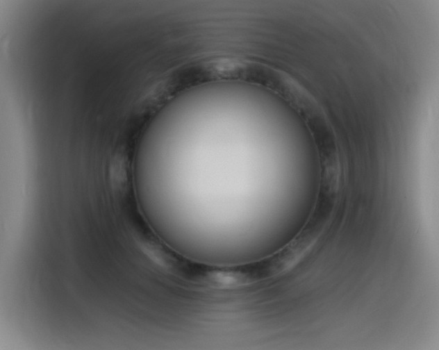 X0000116150654200911231332