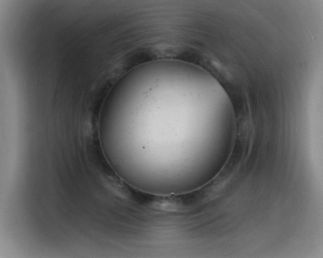 X0000116150655200911231332