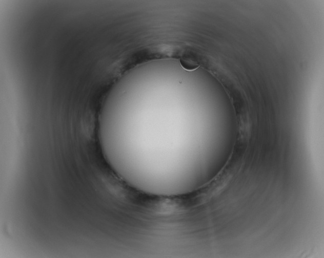 X0000116150656200911231332